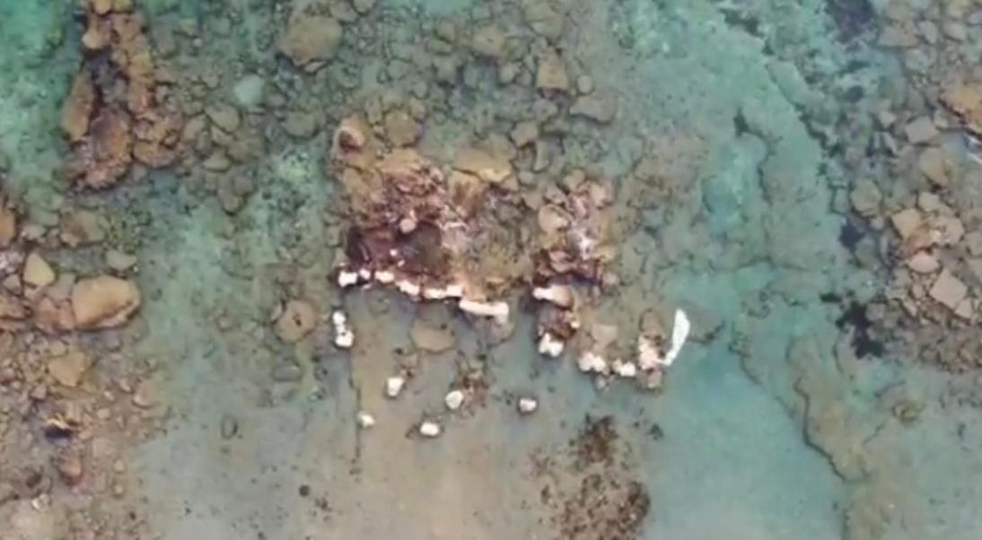 Tsambikos Apts Faliraki Dış mekan fotoğraf